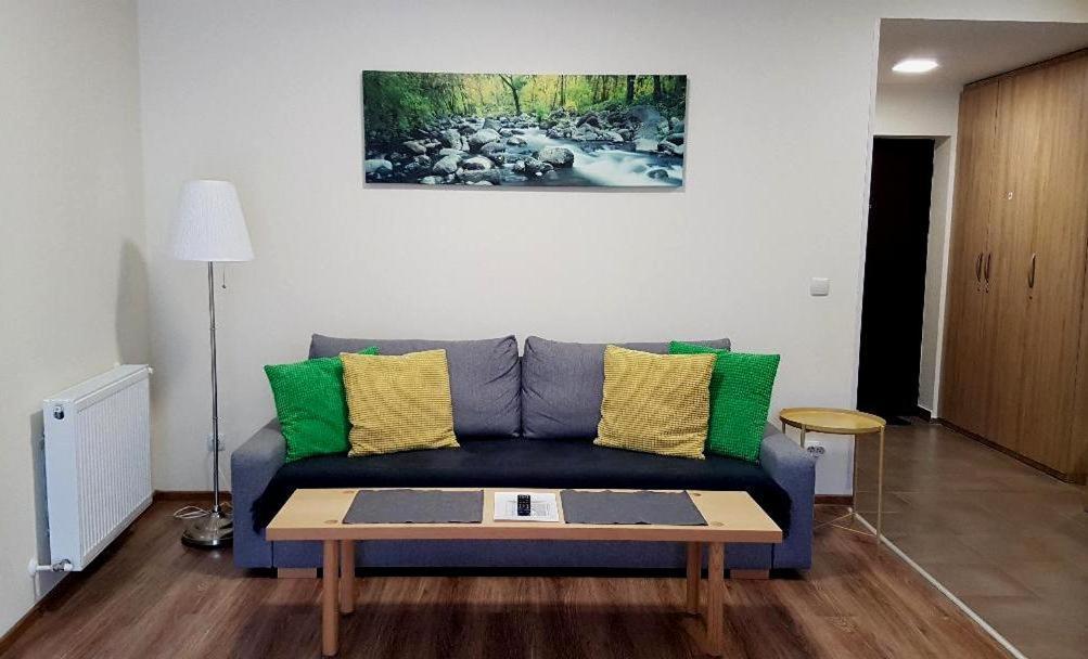 Studio Mountain View Sinaia Dış mekan fotoğraf