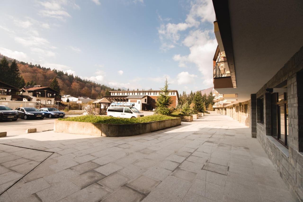 Studio Mountain View Sinaia Dış mekan fotoğraf