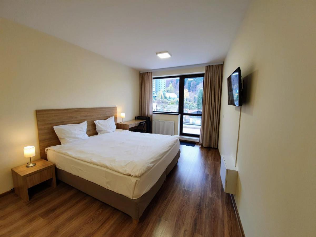 Studio Mountain View Sinaia Dış mekan fotoğraf