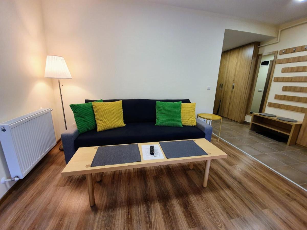 Studio Mountain View Sinaia Dış mekan fotoğraf