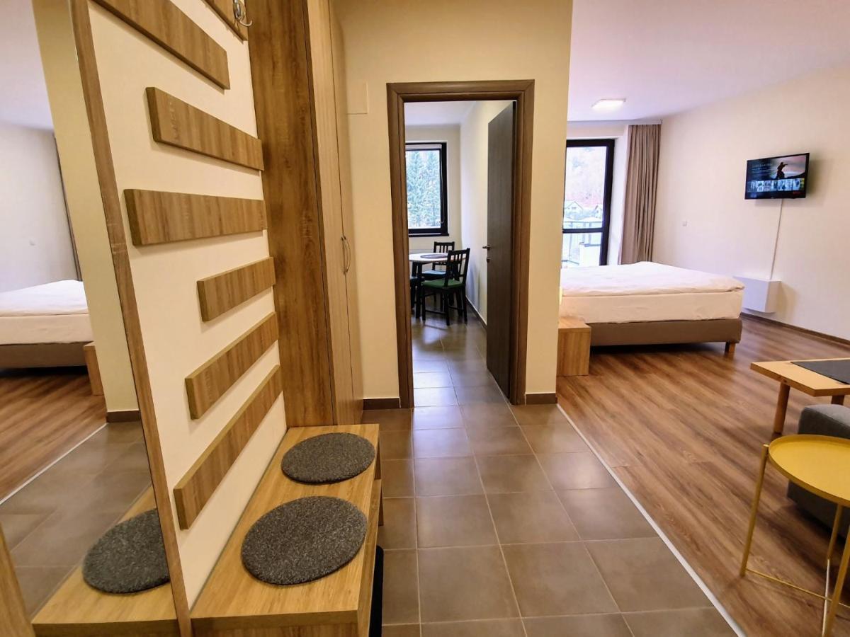 Studio Mountain View Sinaia Dış mekan fotoğraf