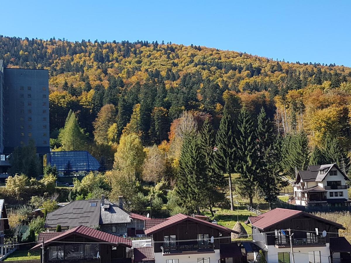 Studio Mountain View Sinaia Dış mekan fotoğraf