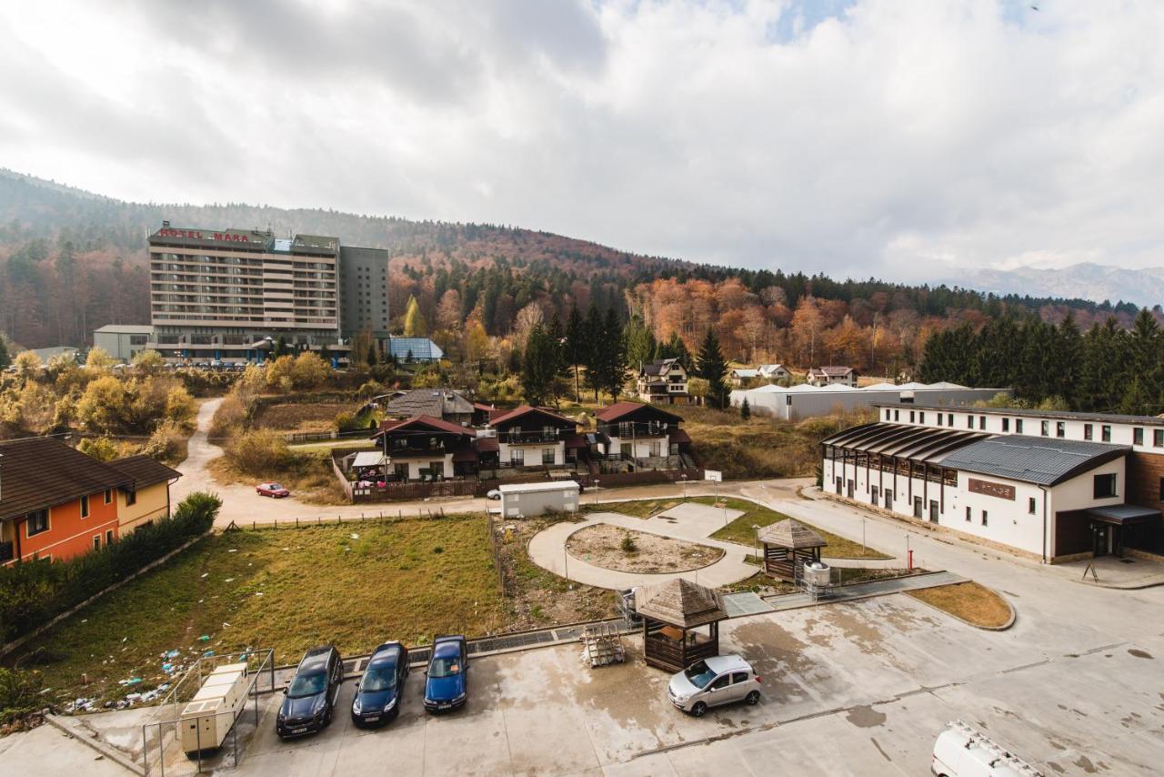Studio Mountain View Sinaia Dış mekan fotoğraf