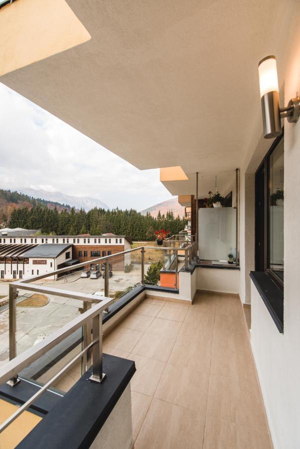 Studio Mountain View Sinaia Dış mekan fotoğraf