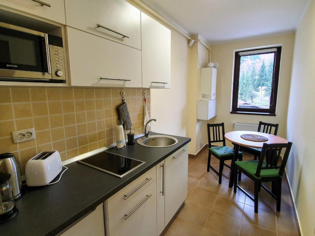 Studio Mountain View Sinaia Dış mekan fotoğraf