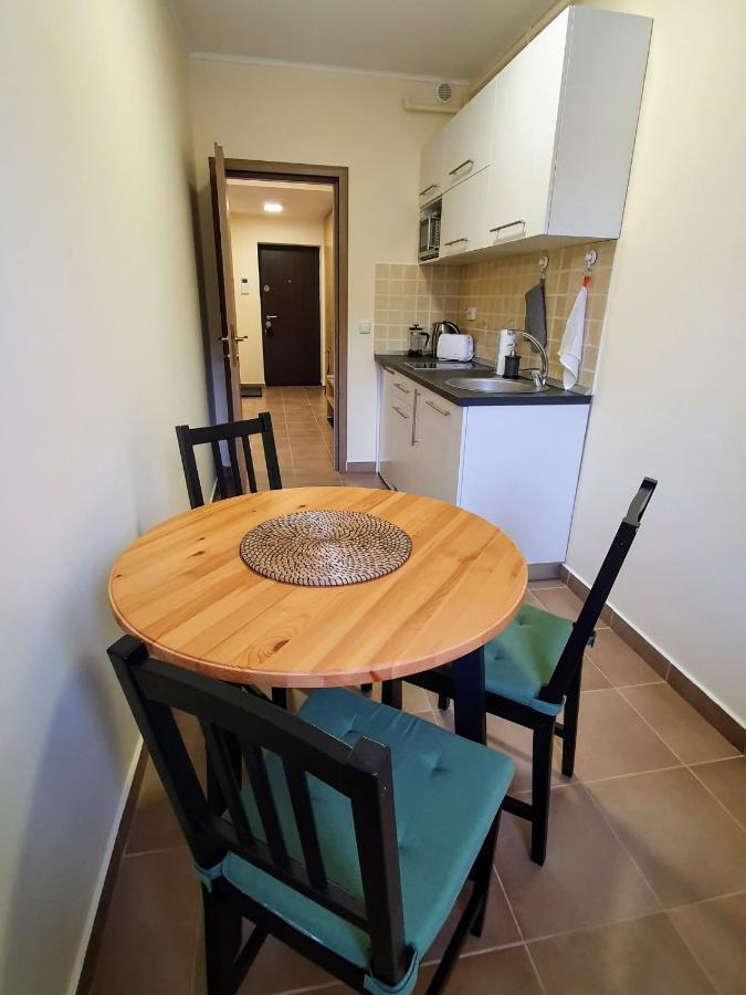 Studio Mountain View Sinaia Dış mekan fotoğraf